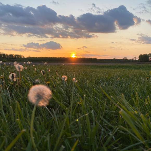 Meet your Posher, Linda - Picture 1 of 1